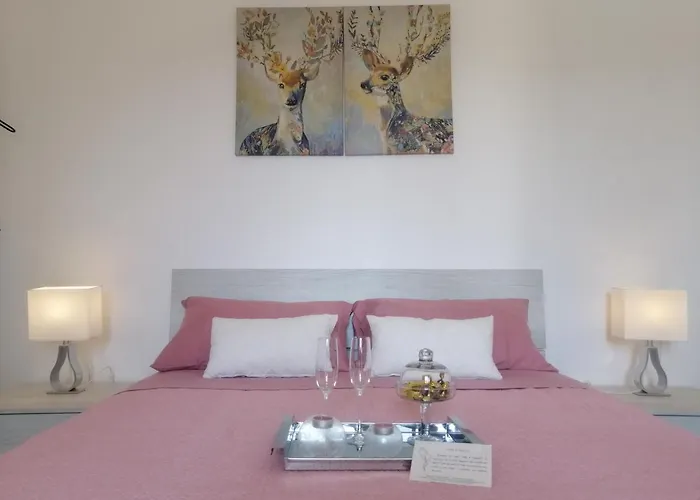 B&B Il Tulipano
